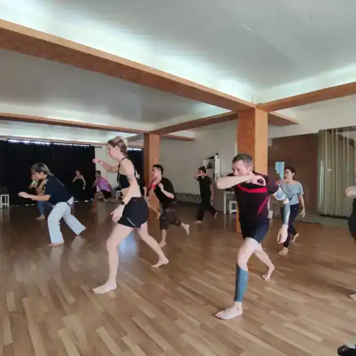 Capoeira Fundamental 1